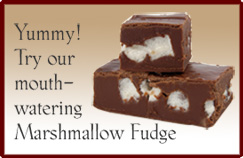 Yummy! Try our mouth- watering Marshmallow Fudge